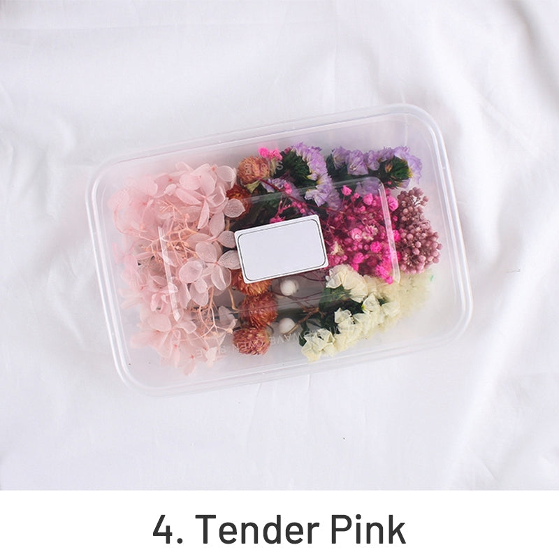Pack de Materiais Florais Preservados em Caixa com Flores Reais Secas ao Ar sku-4