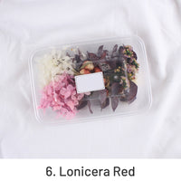6. Lonicera Vermelha