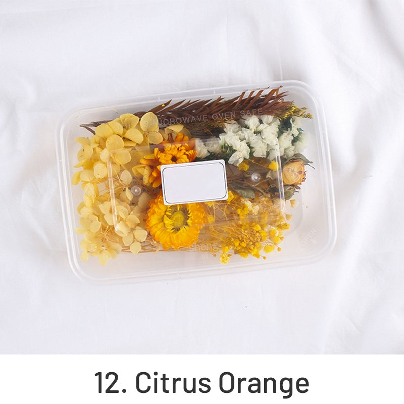 Pack de Material Floral Preservado em Caixa com Flores Reais Secas ao Ar sku-12