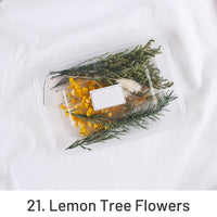 21. Flores da Limoeiro