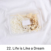22. A Vida é Como um Sonho