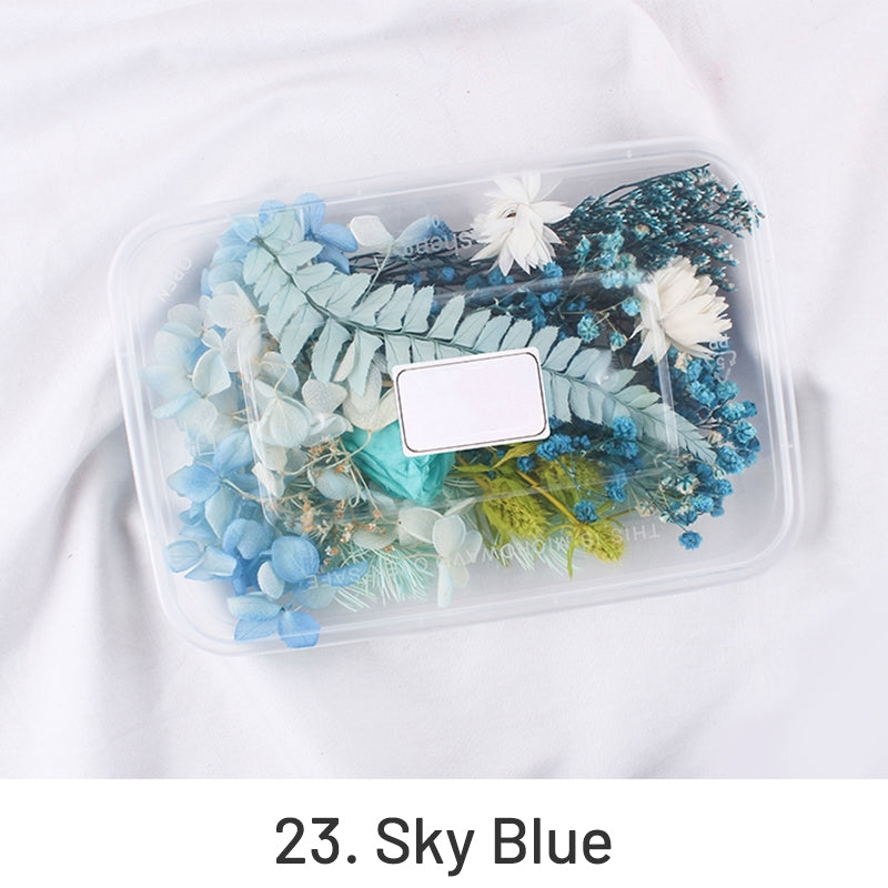 Pack de Material Floral Preservado com Flores Reais Secas ao Ar em Caixa sku-23