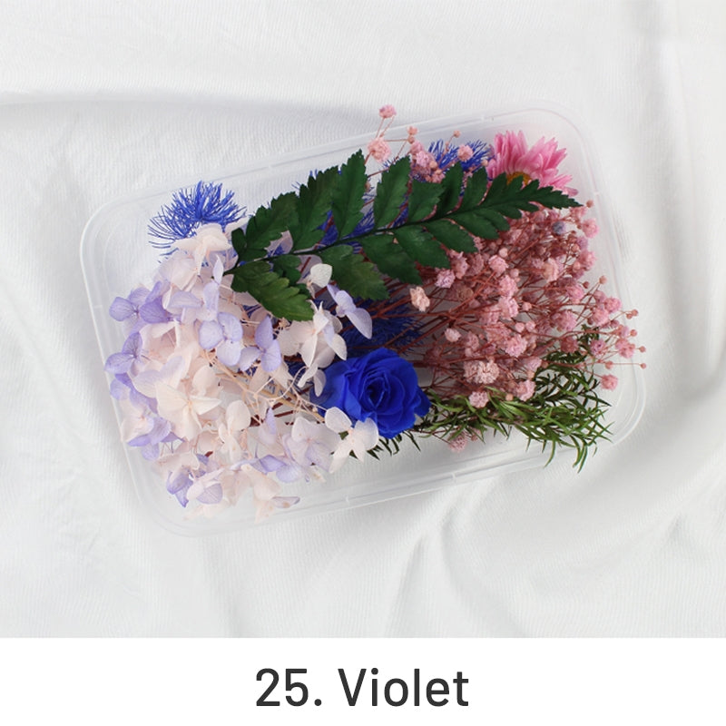 Pack de Material Floral Preservado em Caixa com Flores Reais Secas ao Ar sku-25