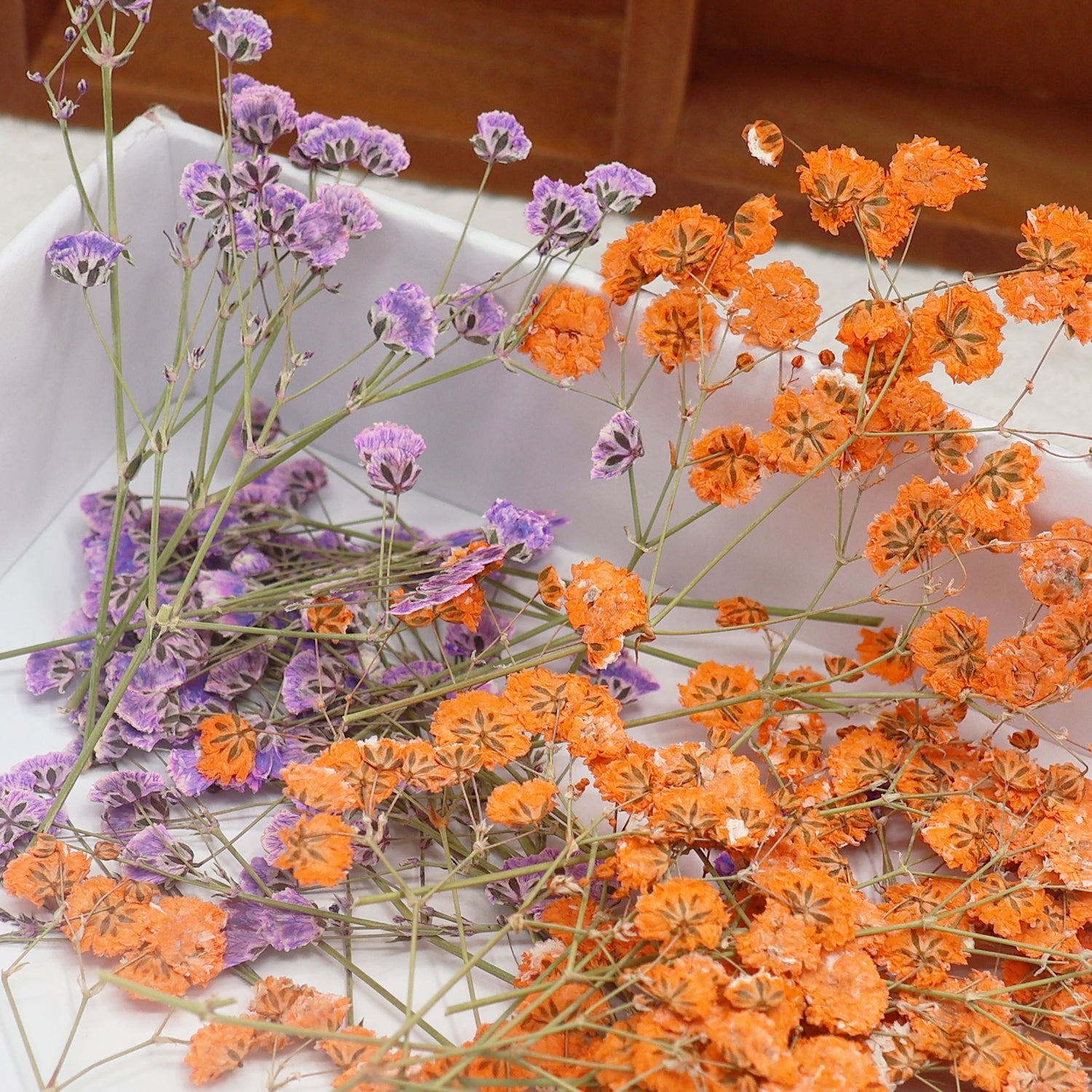 Pack de Material de Flores Secas DIY Respiração de Bebé 2