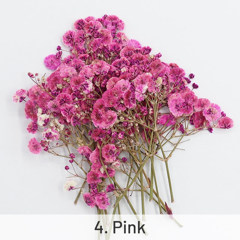 Material para DIY Flor Seca Respiração de Bebé Pacote sku-4