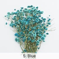 5. Azul