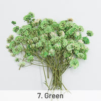 7. Verde