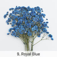 9. Azul Royal