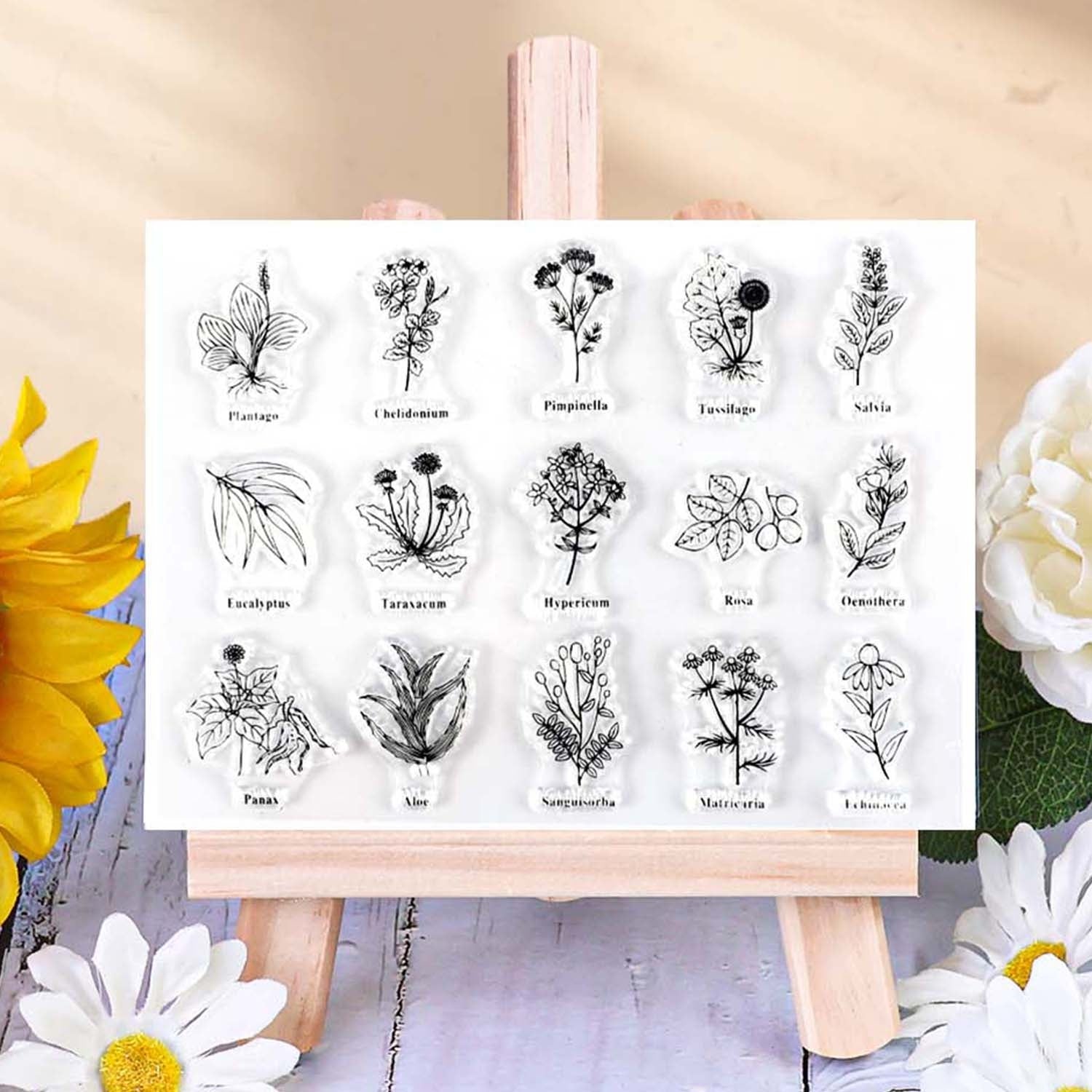 Carimbo Acrílico Transparente de Herbário Ilustrado para Diário de Escritório
