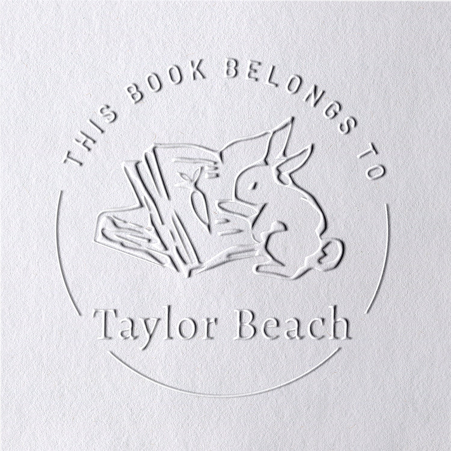 Chancela de Livro Coelho Personalizado Da Biblioteca2