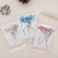 4. Complete Set (10% OFF)